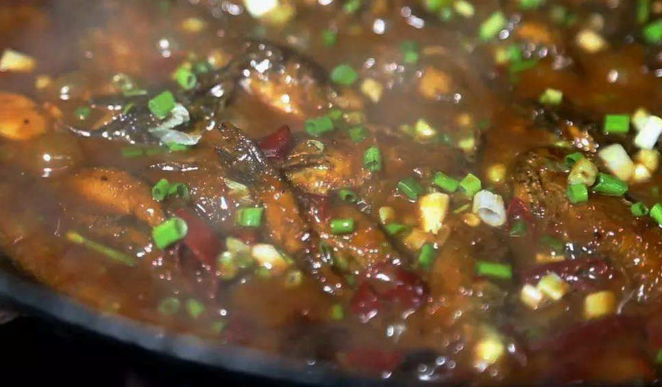 太可惜!广元钓鱼人钓起一些“黑壳小鱼”,见其丑怪丢回水中