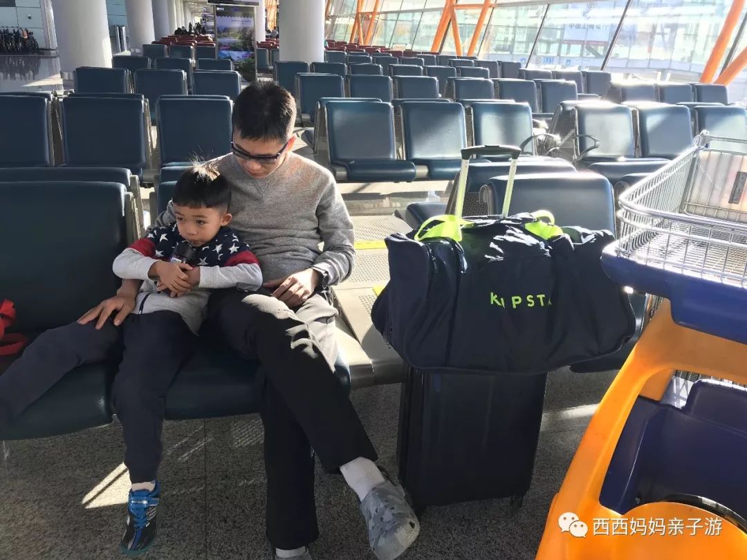 新加坡一天来回马来西亚乐高乐园,乐高马来西亚旅游记