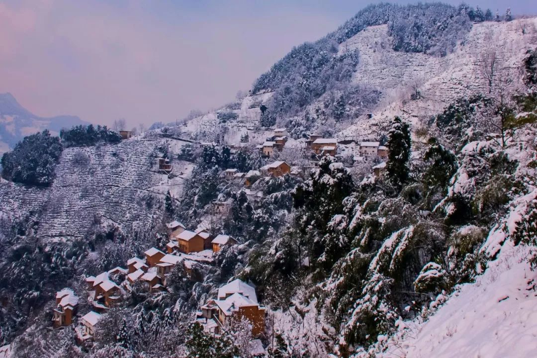 秘境蜘蛛恐惧症任务,破碎之地秘境剧毒蜘蛛怎么打