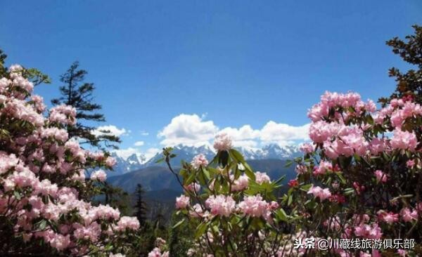 318川藏线成都租车拉萨还车,自驾318川藏线车队租车价格