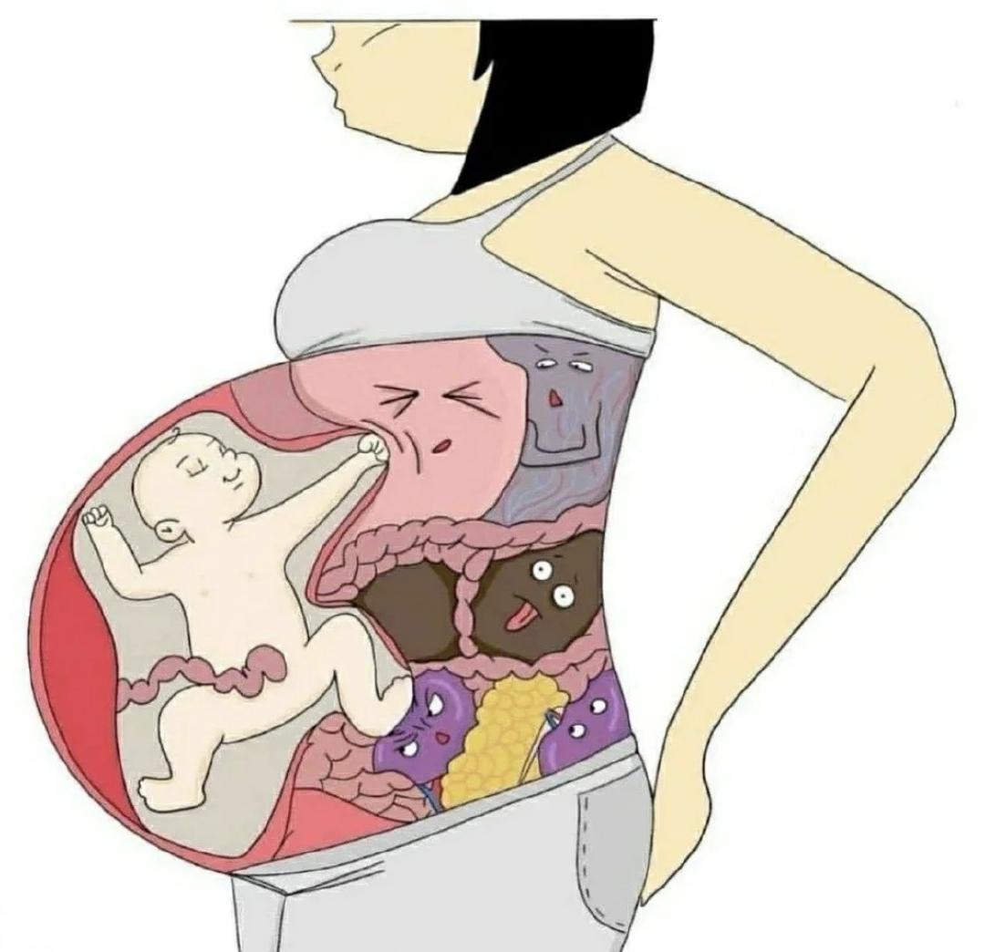 王灿孕晚期孕吐仍严重，凌晨五点胃疼醒，杜淳为她做早餐秀幸福