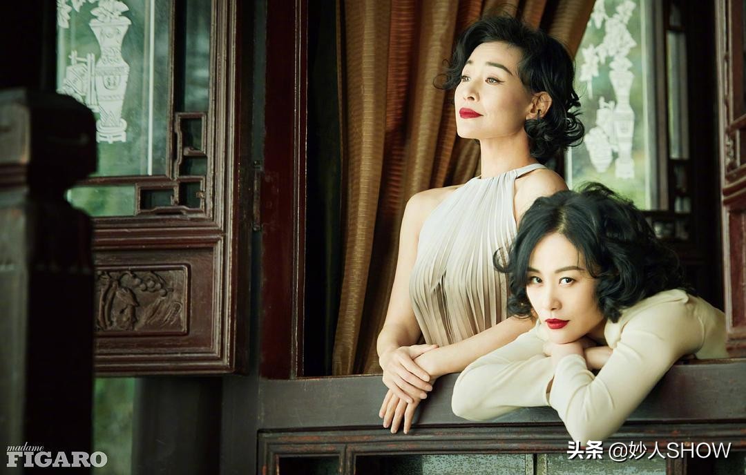 网红陈冲,陈冲为何在爆红后退居美国