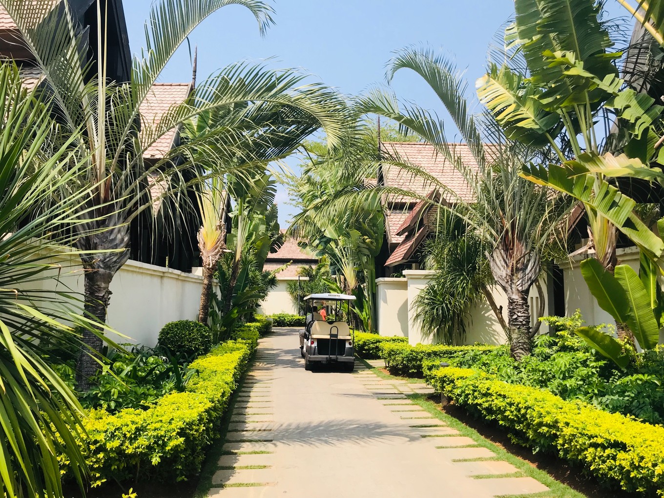 三亚躲台风,三亚避寒15天游玩攻略