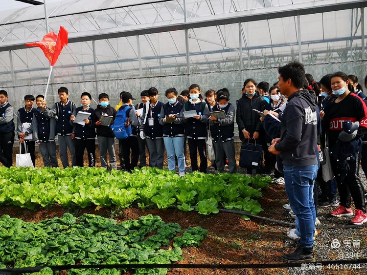 体耕读文化彰劳动之美——记合肥三十九中劳动研学活动