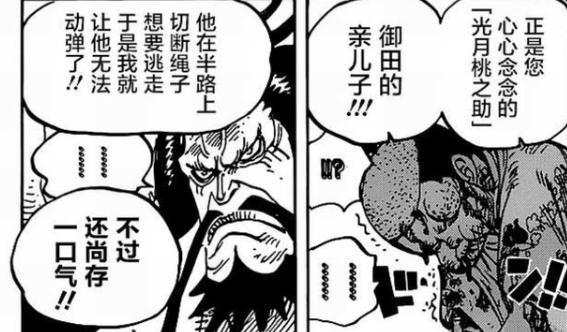 海贼王童年悲惨人物,海贼王悲惨童年