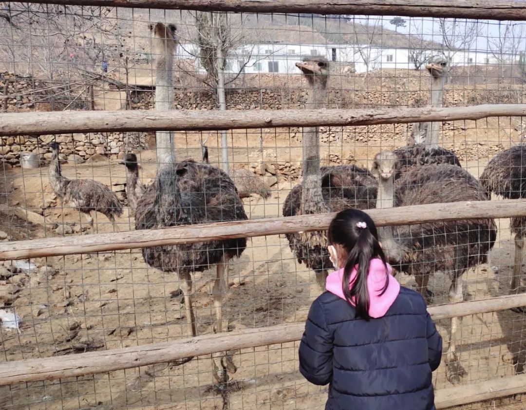 春暖三月“挖野菜”祖孙三代齐欢乐