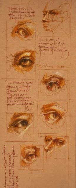 透视表现空间的基本方法,透视解剖学原理书籍