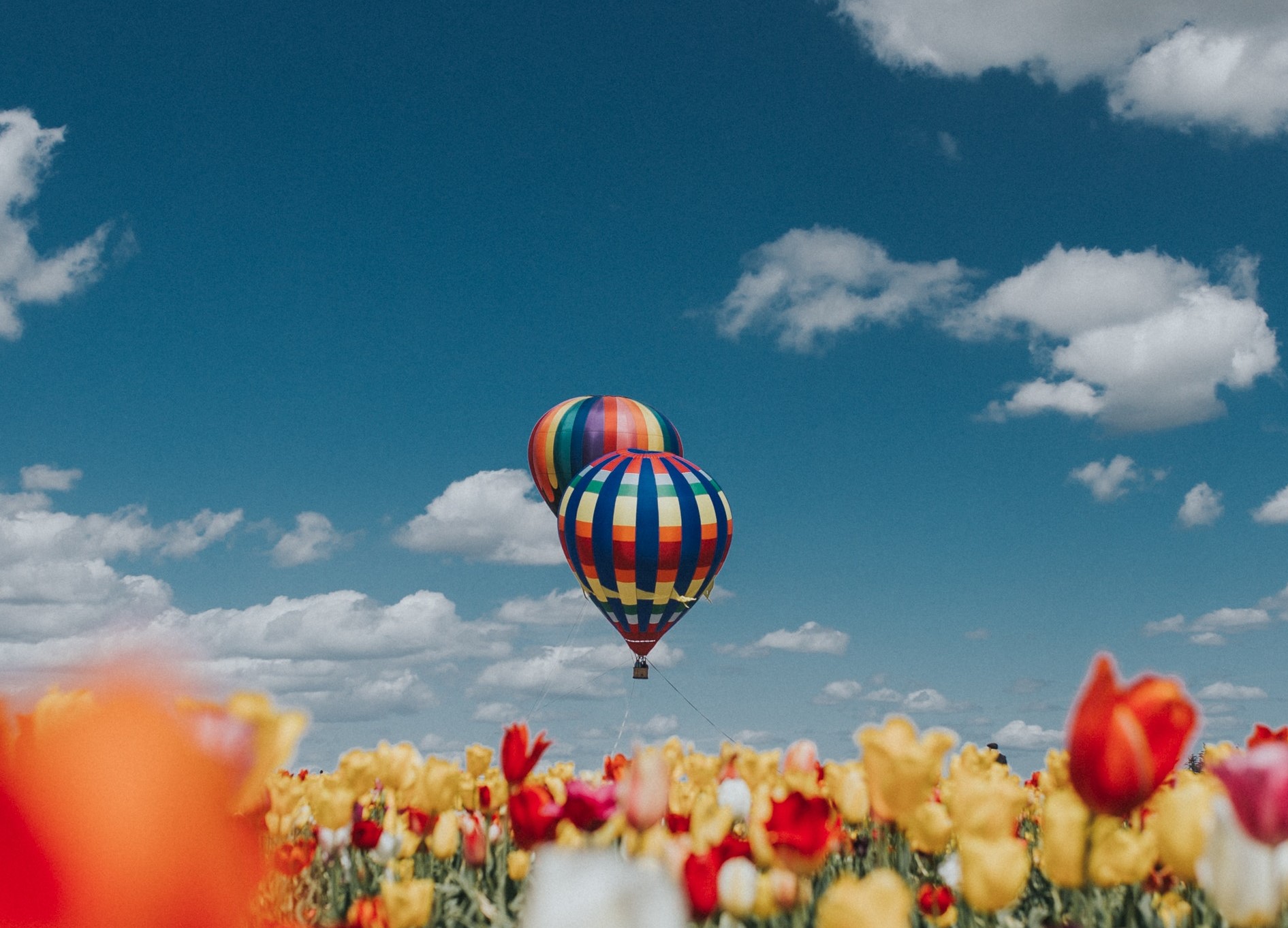 后来我才发现,我还是戒不掉你