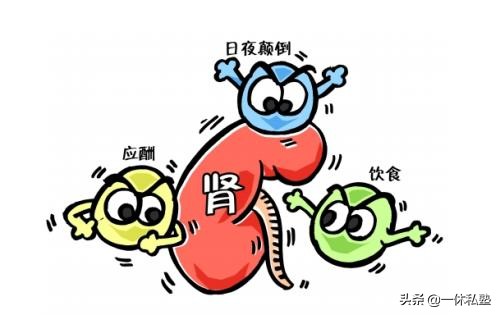 反复口腔溃疡和肾有关系吗,女性反复口腔溃疡和肾有关系吗