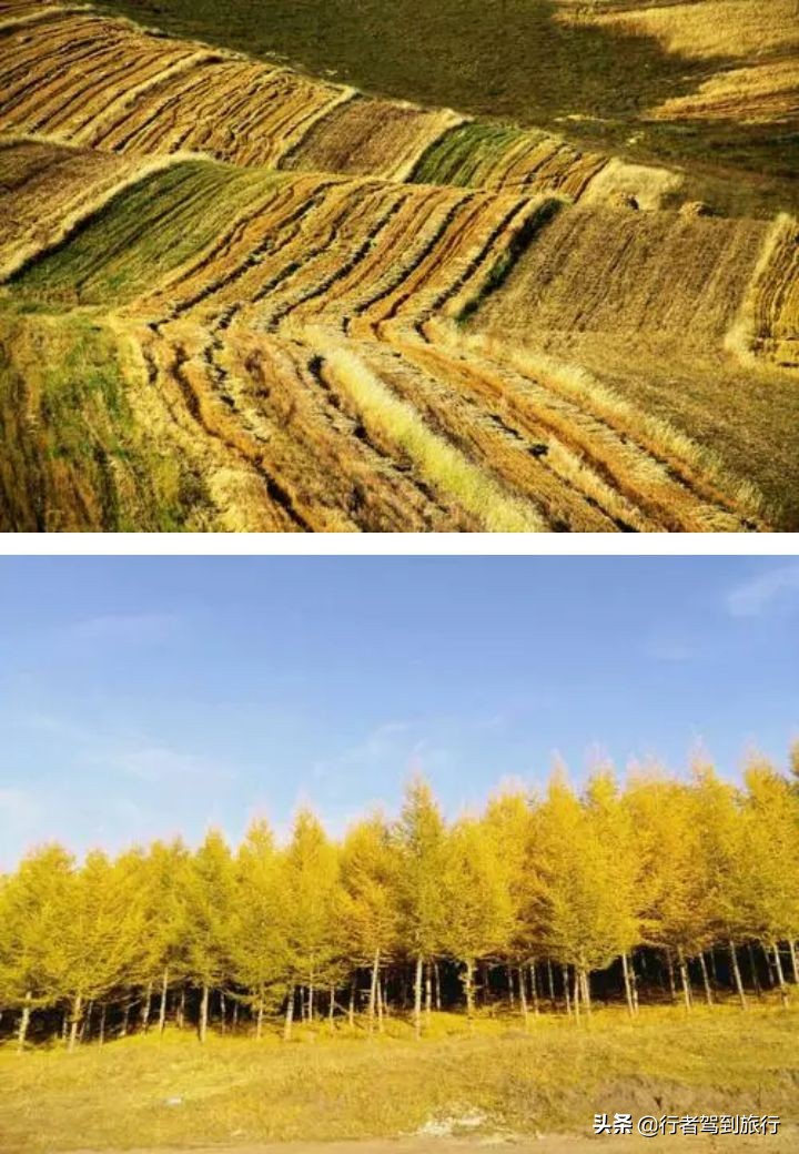 冬季克旗旅游自驾游攻略,克什克腾旗看秋色攻略