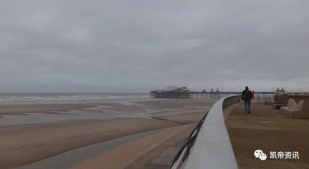 「第一名居然是....」日本20多岁的单身狗是怎么过圣诞节的