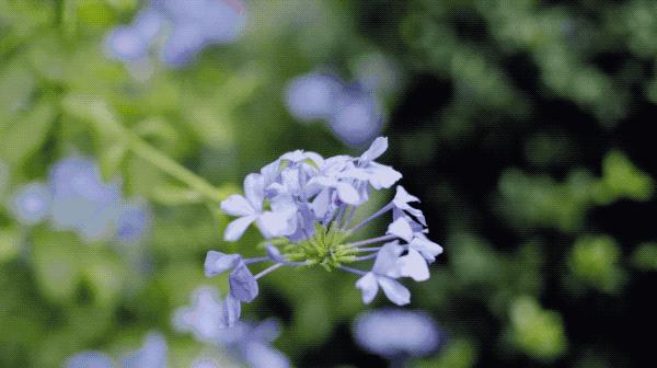 家具不要买太多极简生活,家具都是捡来的