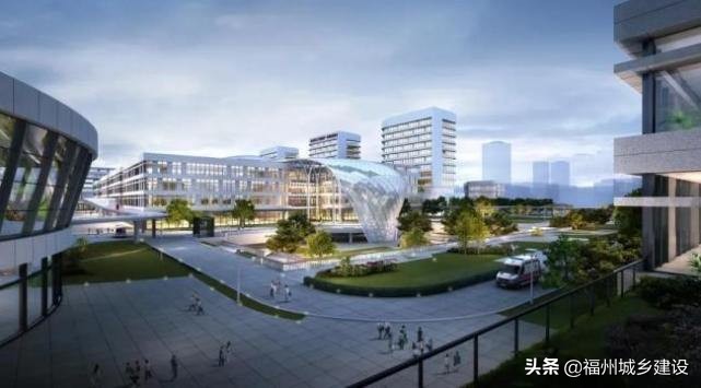 过去十年和未来五年,过去十年未来十年