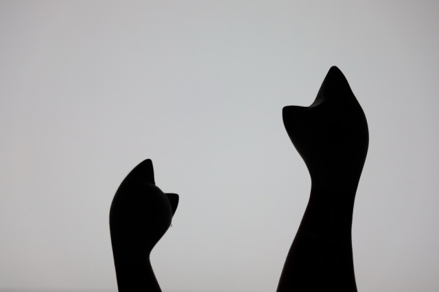 灏煎悍澶氶噸鏇濆厜鏁欑▼,浣宠兘澶氶噸鏇濆厜鏁欑▼