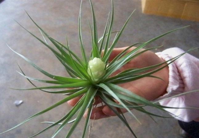 <html>
<head><title>502BadGateway</title></head>
<body>
<center><h1>502BadGateway</h1></center>
<hr><center>nginx</center>
</body>
</html>
<!--apaddingtodisableMSIEandChromefriendlyerrorpage-->
<!--apaddingtodisableMSIEandChromefriendlyerrorpage-->
<!--apaddingtodisableMSIEandChromefriendlyerrorpage-->
<!--apaddingtodisableMSIEandChromefriendlyerrorpage-->
<!--apaddingtodisableMSIEandChromefriendlyerrorpage-->
<!--apaddingtodisableMSIEandChromefriendlyerrorpage-->
