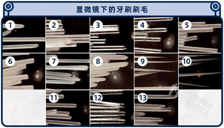 能把牙齿刷得很干净的电动牙刷,电动牙刷真的比普通牙刷的干净