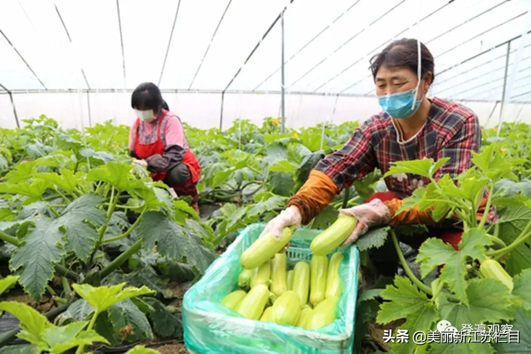 “有爱小城”的小康答卷——访射阳县委书记唐敬