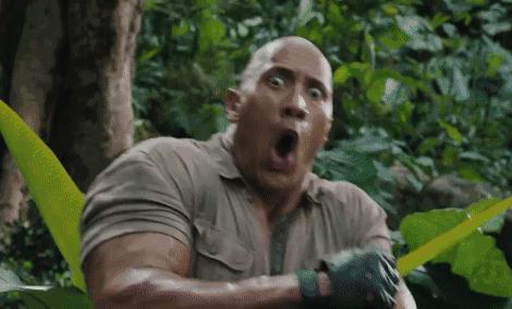 巨石强森的幸福生活,巨石强森2019婚姻