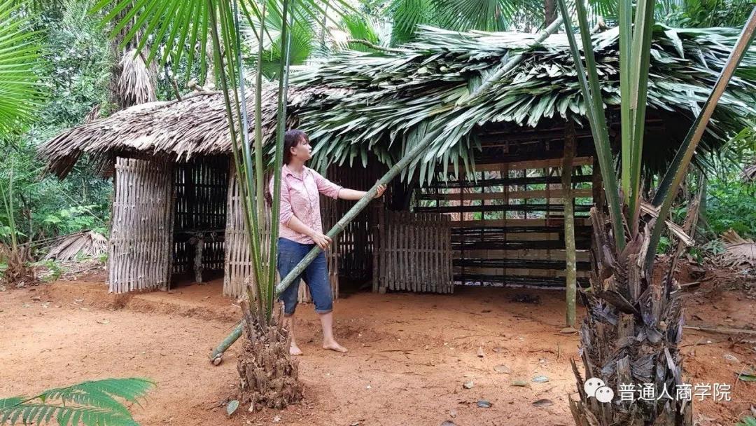 国外版的李子柒男的,日本版李子柒vs中国版李子柒