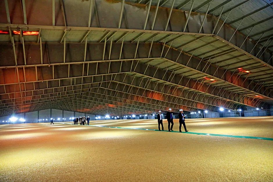 全球濒临50年来最严重的粮食危机,中国有何“粮策”?