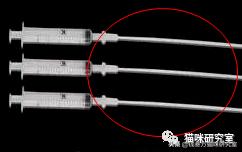 猫的人工授精V2.0|技术改进，增加实操反馈