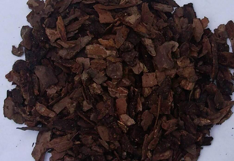 松树皮怎样处理可以做兰花植料,种植兰花只需要用松树皮就够了么