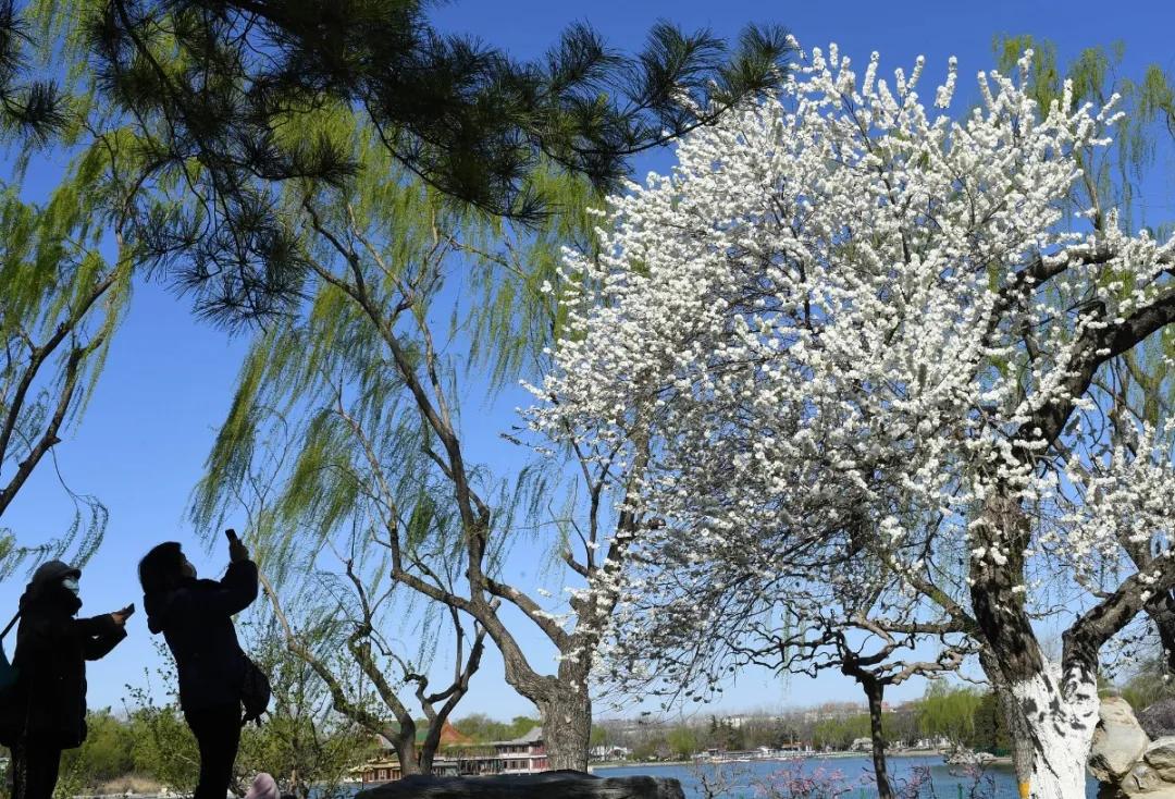 出行安全宝典,北京旅游安全攻略