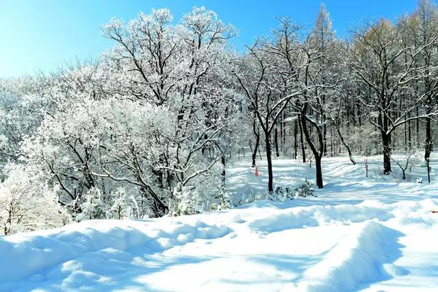 吉林省通化市柳河,吉林通化县柳河
