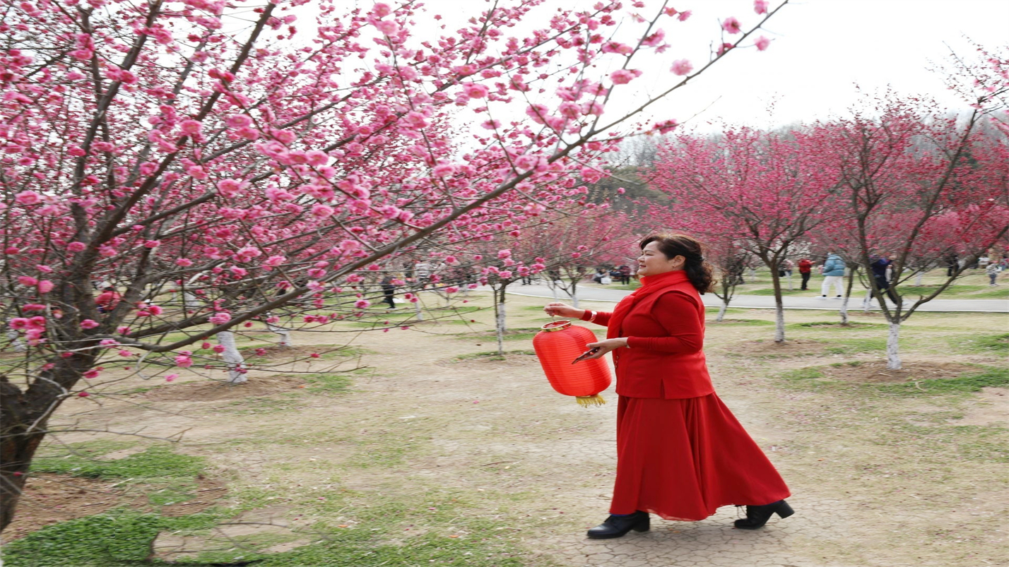 琴瑟在御岁月静好,琴瑟在御岁月静好的配图