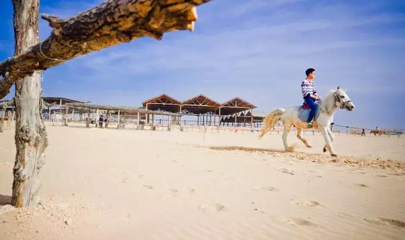 好玩丨清明小长假，宁夏黄沙古渡景区让你玩到停不下来！