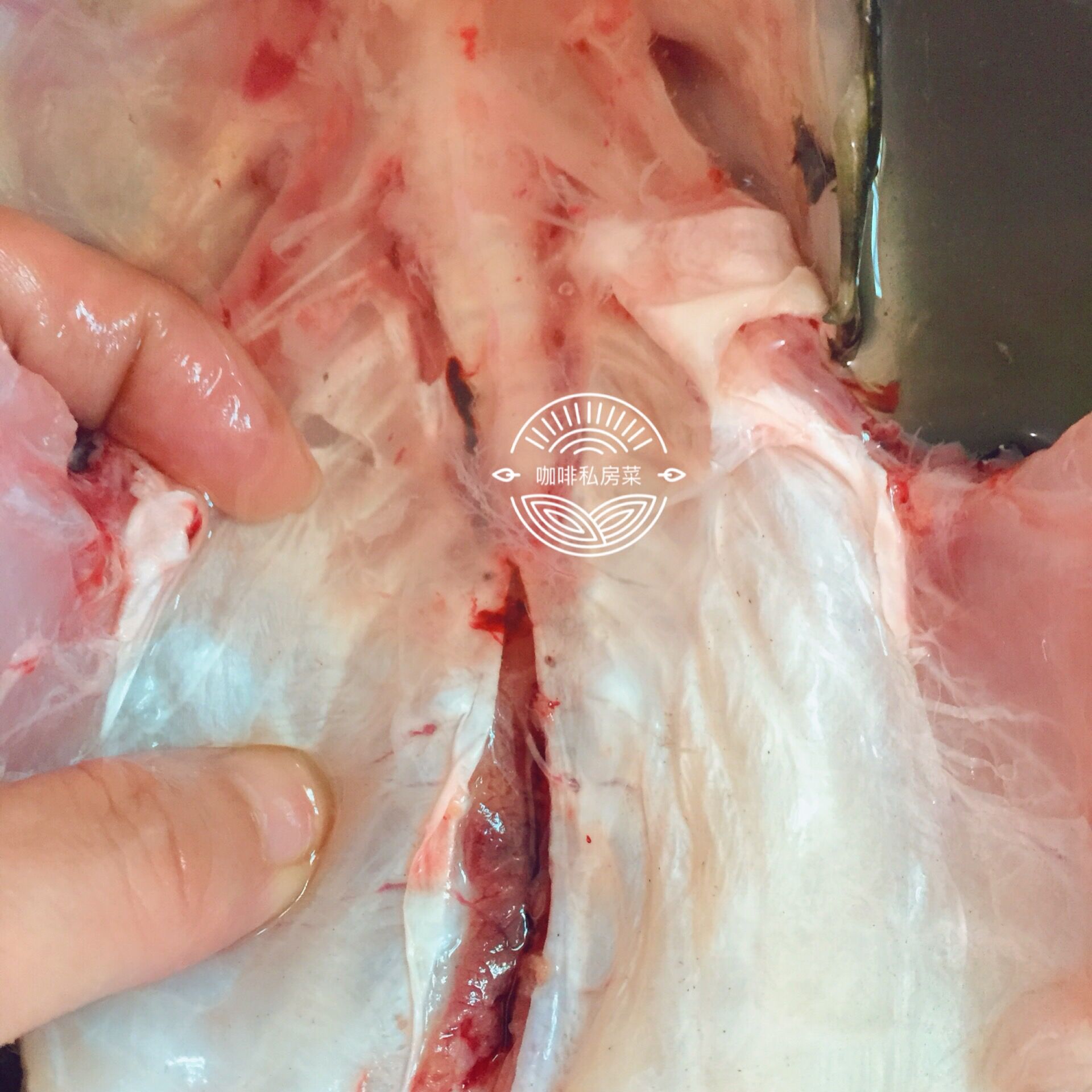 厨师长教你正宗清蒸鱼,广东五星级大厨教你做正宗清蒸鱼