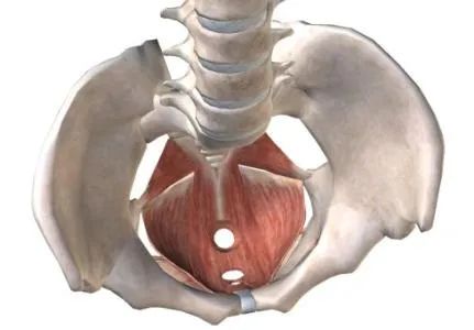 拜拜肉大腿肉怎么减最有效,大腿上的拜拜肉怎么快速减掉