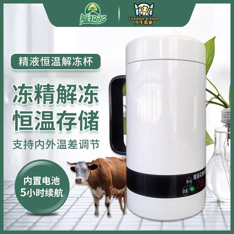 小牛犊的烦恼是什么,小牛累着了怎么办