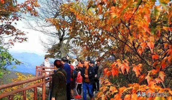 四川改革开放的案例,四川的改革开放成绩