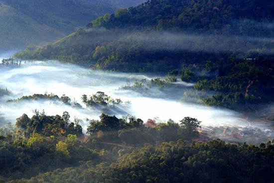 名山普洱茶哪种好喝,云南名山古树普洱茶
