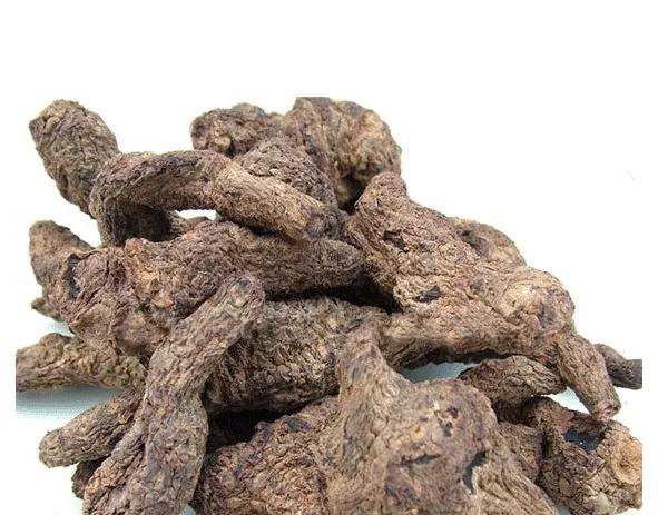 芝味本草——第1期(地黄)为什么叫它“地髓”?