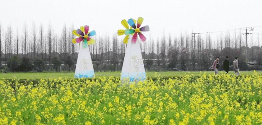 五月份上海有什么新消息,上海4月份有哪些消息