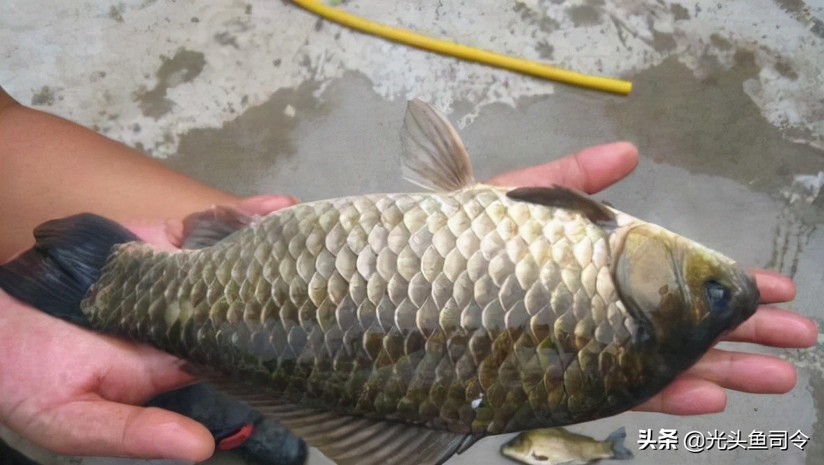 渔具店关门事件,小区门口开渔具店好吗