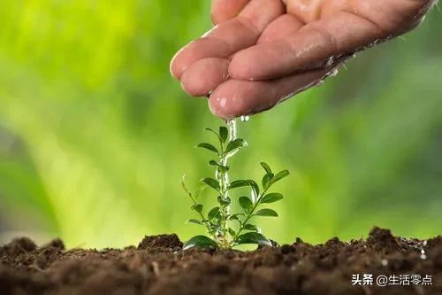 长期投资走向财务自由的方法,怎么利用投资实现财务自由