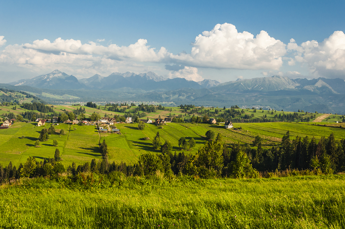 高情商的回绝方法,再巧妙的圆滑都敌不过真诚