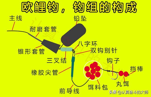 大鱼怎么钓不起来,欧鲤钓怎么提高鱼获