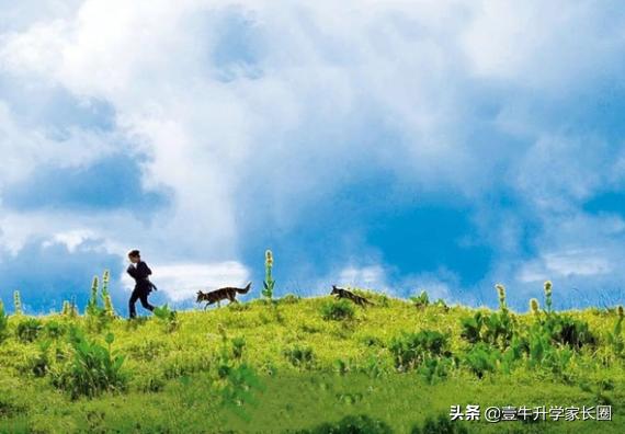 大人小孩必看的十部电影,五部优秀的电影你和孩子看过几部