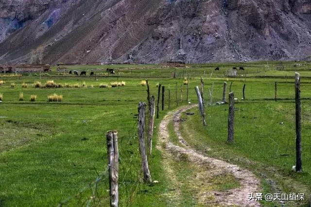 *疆新**克州,向全世界发出邀请!即将涌来大批人马