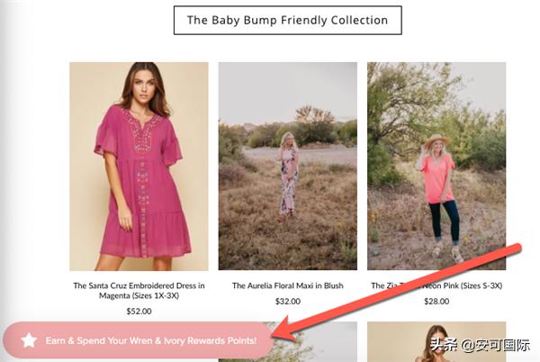 馋销量？看这13个独立站品牌如何花式为自己“带盐”