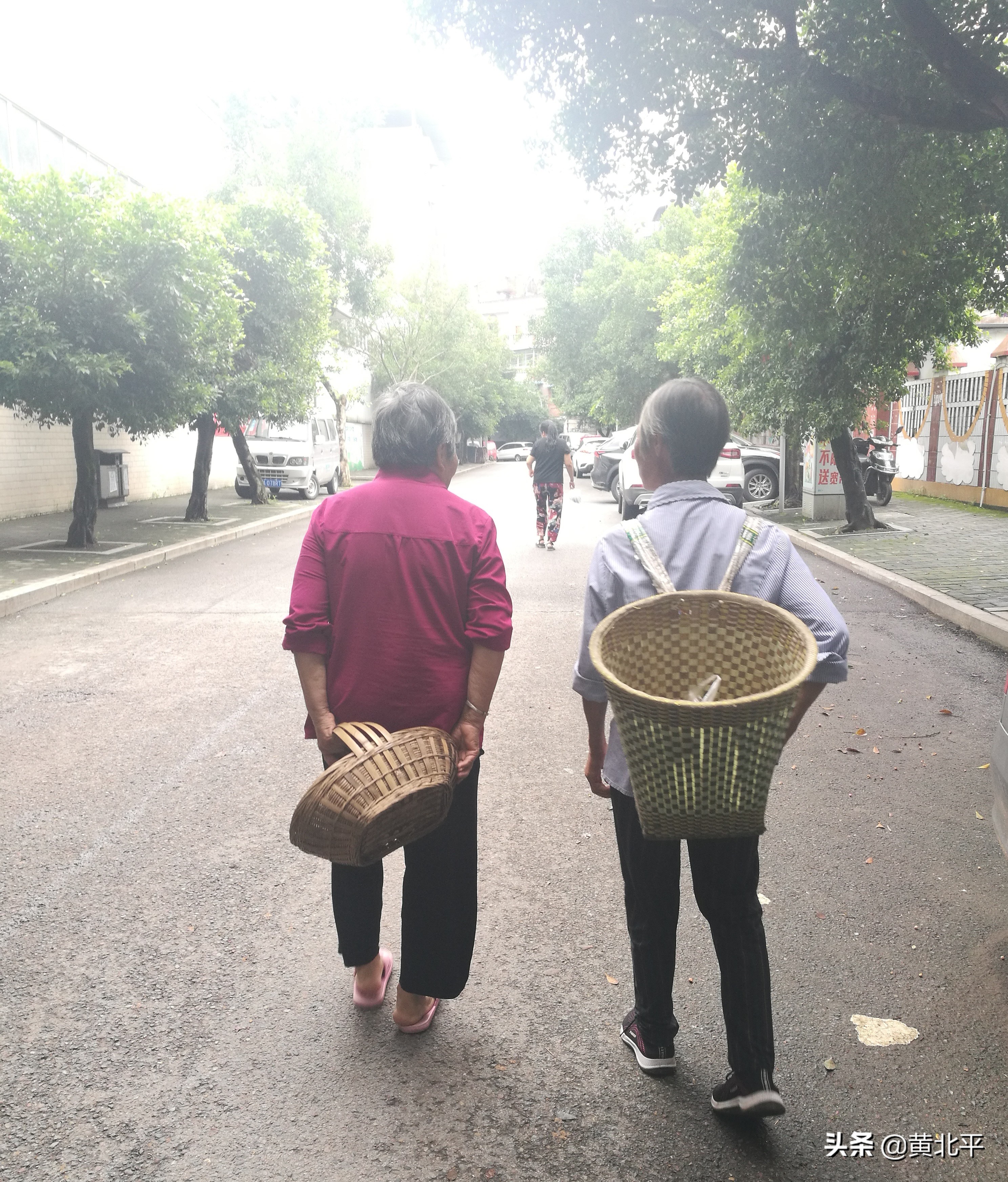 璧山丹凤镇,重庆市丹凤镇