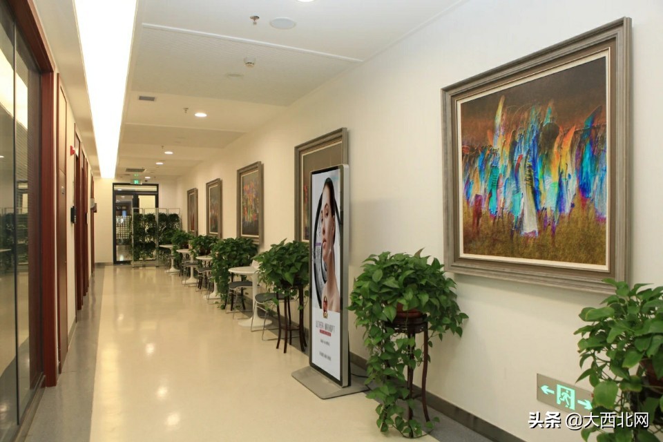 甘肃省妇幼保健院官网,甘肃省妇幼保健院健康体检中心