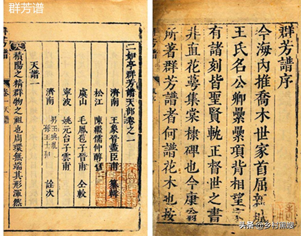 农作物棉花来自哪里？是国产吗？一口气搞懂棉花的前世今生