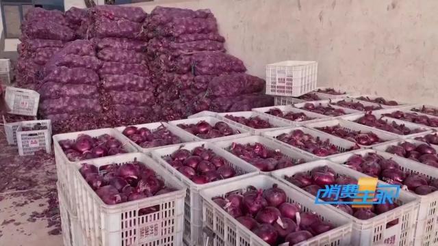 洋葱价格及出口情况,全国各地洋葱产地批发价格