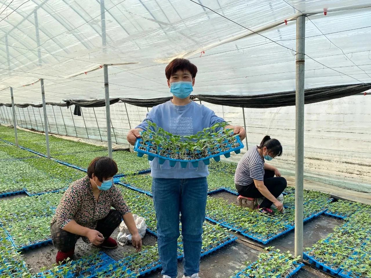 一村一品打造乡村产业,一村一品亿元村