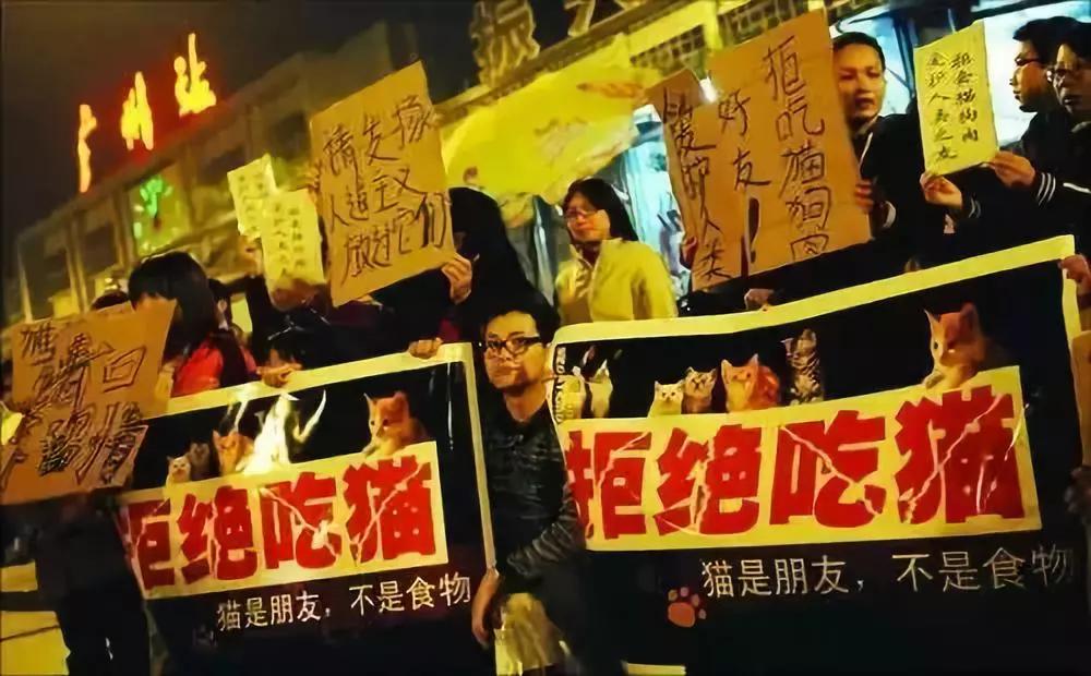 伊斯兰教人为什么不吃大肉,伊斯兰为何不吃驴肉